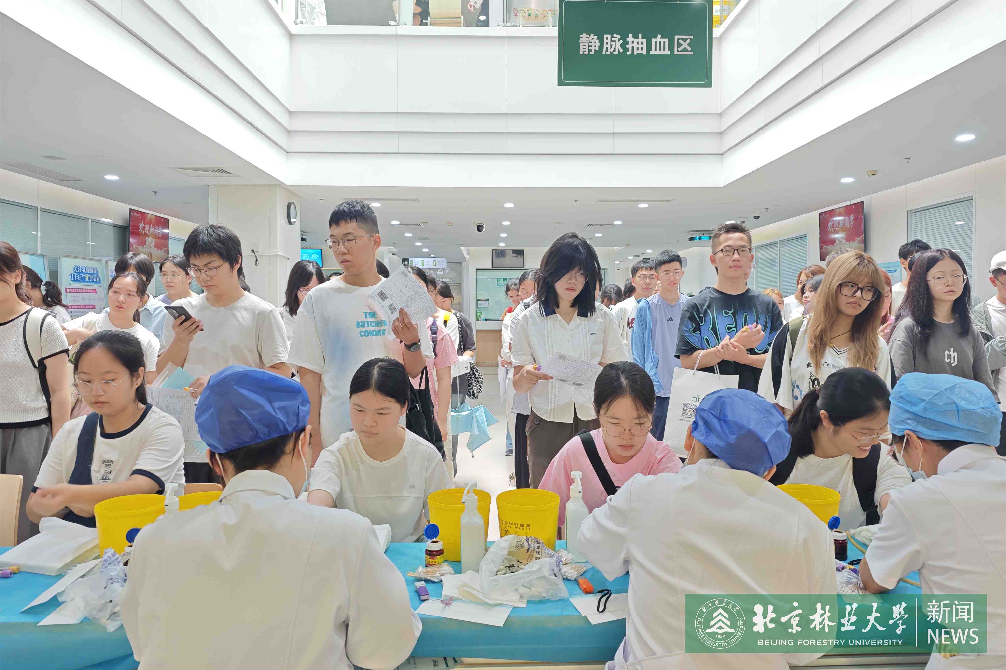 抽血-体检.jpg